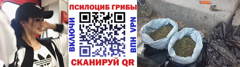Псилоцибиновые грибы прущие грибы  как найти закладки  Богучар 